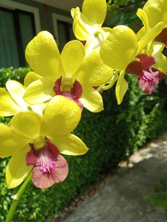Blue Orchid Beach Krabi - Sha Certified Ao Nam Mao Εξωτερικό φωτογραφία